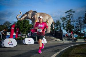 BIB: 
                            <button type="button" onclick="openModal(26541796)" class="btn btn-primary btn-sm float-right btn-popup" data-toggle="modal" data-target=".modal-high-quality">
                        <i class="fas fa-shopping-cart"></i> Add to Cart
                    </button>
                                            <button type="button" onclick="isThisMe(26541796, true)" class="btn btn-success btn-sm float-right btn-popup btn-isme hidden" data-toggle="tooltip" data-placement="bottom" title="นี่คือรูปของคุณใช่ไหม คลิกที่นี่เพื่อเอาเข้าอัลบั้ม">
                        <i class="fas fa-plus"></i> Add to album
                    </button>
                    <button type="button" onclick="isThisMe(26541796, false)" class="btn btn-warning btn-sm float-right btn-popup btn-isnotme hidden">
                        <i class="fas fa-ban"></i> Remove from album
                    </button>